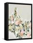 Blushing Blooms II-June Vess-Framed Stretched Canvas