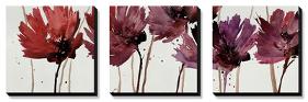 Blushing Blooms-Natasha Barnes-Stretched Canvas