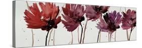 Blushing Blooms-Natasha Barnes-Stretched Canvas