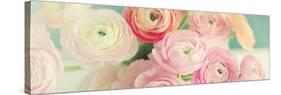 Blushing Blossoms Panel-Sarah Gardner-Stretched Canvas