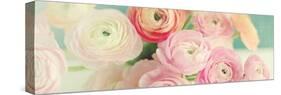 Blushing Blossoms Panel-Sarah Gardner-Stretched Canvas