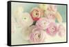 Blushing Blossoms-Sarah Gardner-Framed Stretched Canvas