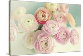 Blushing Blossoms-Sarah Gardner-Stretched Canvas