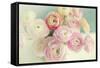 Blushing Blossoms-Sarah Gardner-Framed Stretched Canvas