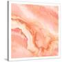 Blushing Coral-Kimberly Allen-Stretched Canvas