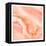 Blushing Coral-Kimberly Allen-Framed Stretched Canvas