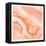 Blushing Coral-Kimberly Allen-Framed Stretched Canvas