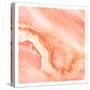 Blushing Coral-Kimberly Allen-Stretched Canvas