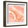 Blushing Coral-Kimberly Allen-Framed Art Print