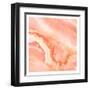 Blushing Coral-Kimberly Allen-Framed Art Print