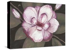 Blushing Magnolia-Filippo Ioco-Stretched Canvas