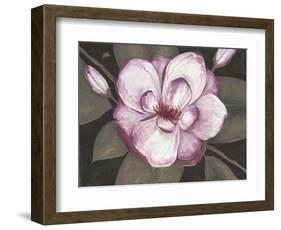 Blushing Magnolia-Filippo Ioco-Framed Art Print