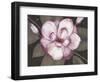 Blushing Magnolia-Filippo Ioco-Framed Art Print