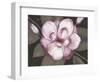 Blushing Magnolia-Filippo Ioco-Framed Art Print