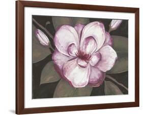 Blushing Magnolia-Filippo Ioco-Framed Art Print