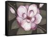 Blushing Magnolia-Filippo Ioco-Framed Stretched Canvas