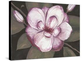 Blushing Magnolia-Filippo Ioco-Stretched Canvas