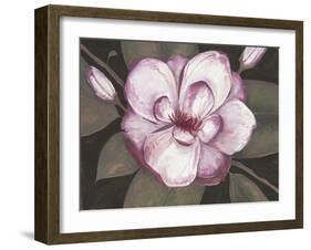 Blushing Magnolia-Filippo Ioco-Framed Art Print