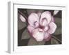 Blushing Magnolia-Filippo Ioco-Framed Art Print