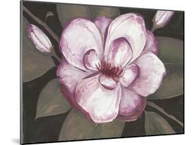 Blushing Magnolia-Filippo Ioco-Mounted Art Print