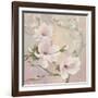 Blushing Magnolias-Julia Purinton-Framed Art Print