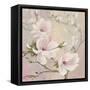 Blushing Magnolias-Julia Purinton-Framed Stretched Canvas