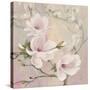 Blushing Magnolias-Julia Purinton-Stretched Canvas