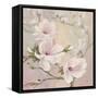 Blushing Magnolias-Julia Purinton-Framed Stretched Canvas