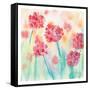 Blushing Meadow II-Beverly Dyer-Framed Stretched Canvas