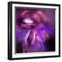 Blushing Nebula-null-Framed Art Print