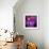 Blushing Nebula-null-Framed Art Print displayed on a wall