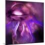 Blushing Nebula-null-Mounted Art Print