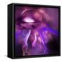 Blushing Nebula-null-Framed Stretched Canvas