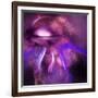 Blushing Nebula-null-Framed Art Print