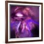 Blushing Nebula-null-Framed Art Print