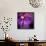 Blushing Nebula-null-Framed Stretched Canvas displayed on a wall