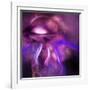 Blushing Nebula-null-Framed Art Print