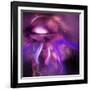 Blushing Nebula-null-Framed Art Print