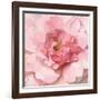 Blushing Peony-Danhui Nai-Framed Art Print