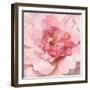 Blushing Peony-Danhui Nai-Framed Art Print