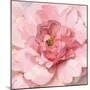 Blushing Peony-Danhui Nai-Mounted Art Print