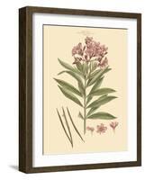 Blushing Pink Florals III-John Miller (Johann Sebastien Mueller)-Framed Art Print