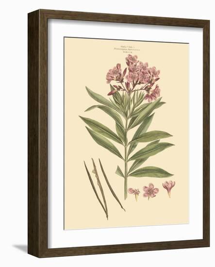 Blushing Pink Florals III-John Miller (Johann Sebastien Mueller)-Framed Art Print