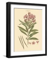 Blushing Pink Florals III-John Miller (Johann Sebastien Mueller)-Framed Art Print
