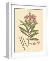 Blushing Pink Florals III-John Miller (Johann Sebastien Mueller)-Framed Art Print