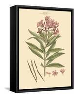 Blushing Pink Florals III-John Miller (Johann Sebastien Mueller)-Framed Stretched Canvas