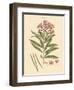 Blushing Pink Florals III-John Miller (Johann Sebastien Mueller)-Framed Art Print