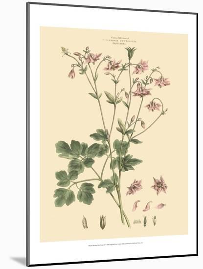 Blushing Pink Florals IX-John Miller (Johann Sebastien Mueller)-Mounted Art Print