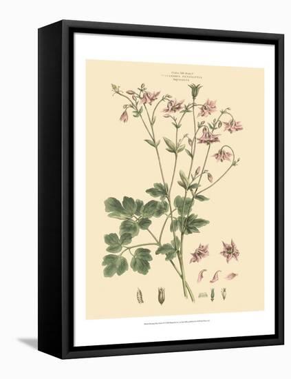 Blushing Pink Florals IX-John Miller (Johann Sebastien Mueller)-Framed Stretched Canvas