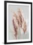 Blushing Pomp Grass II-Asia Jensen-Framed Art Print